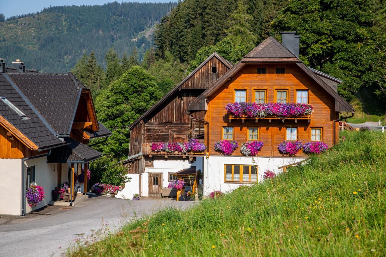 Bio-Bauernhof Grundlehnerhof Guest House Рамзау ам Дахщайн Екстериор снимка