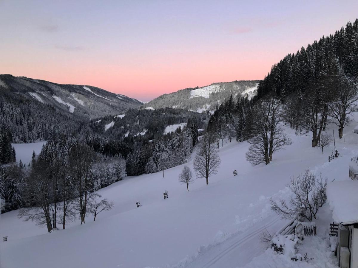 Bio-Bauernhof Grundlehnerhof Guest House Рамзау ам Дахщайн Екстериор снимка