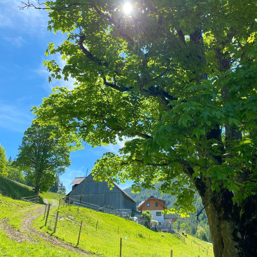Bio-Bauernhof Grundlehnerhof Guest House Рамзау ам Дахщайн Екстериор снимка